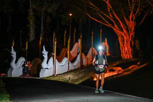 BIB: 
                            <button type="button" onclick="openModal(22512056)" class="btn btn-primary btn-sm float-right btn-popup" data-toggle="modal" data-target=".modal-high-quality">
                        <i class="fas fa-shopping-cart"></i> Add to Cart
                    </button>
                                            <button type="button" onclick="isThisMe(22512056, true)" class="btn btn-success btn-sm float-right btn-popup btn-isme hidden" data-toggle="tooltip" data-placement="bottom" title="นี่คือรูปของคุณใช่ไหม คลิกที่นี่เพื่อเอาเข้าอัลบั้ม">
                        <i class="fas fa-plus"></i> Add to album
                    </button>
                    <button type="button" onclick="isThisMe(22512056, false)" class="btn btn-warning btn-sm float-right btn-popup btn-isnotme hidden">
                        <i class="fas fa-ban"></i> Remove from album
                    </button>